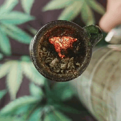 indica-illusions:the cherry looks like a triangle 🔺