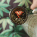 indica-illusions:the cherry looks like a triangle 🔺