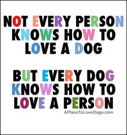 aplacetolovedogs:  Not every person knows