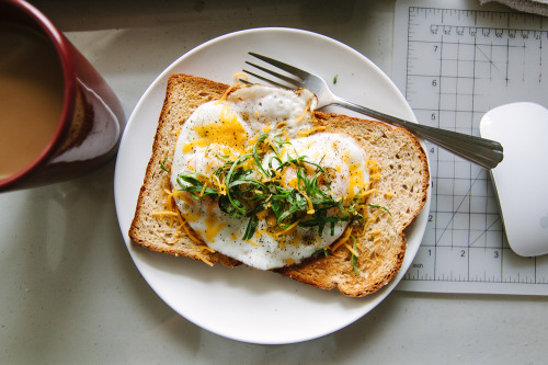  Eggs on Toast October 27, 2013 11:01AM 