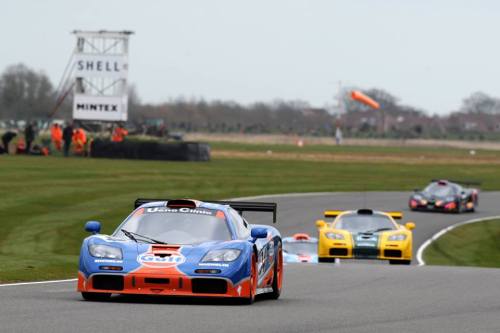 mclaren-soul:  Display of McLaren F1 GTRs at the 73MMSource: GT Spirit