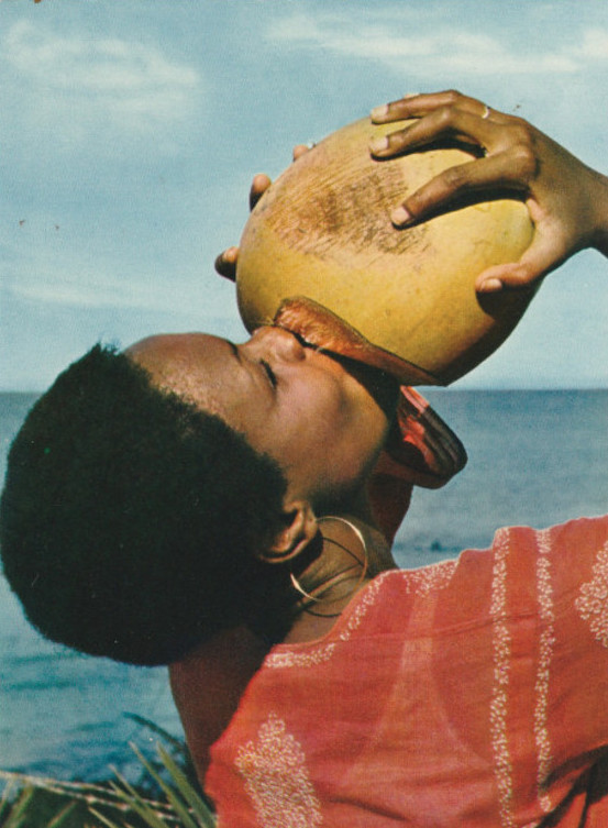 tomorrowcomesomedayblog: Le premier bonheur du jour : Eau de coco
