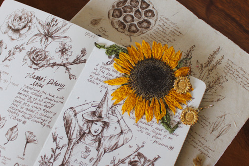 darkmacademia:an old botanical spread in a sepia fineliner + pressed sunflowers.