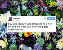 wolfpupy:  crutal:  thanks wolf pupy  thanks for putting my tweet on some flowers 