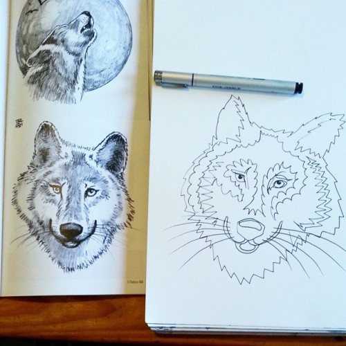 XXX Copying a wolf. #wolves #wolf photo