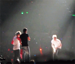 idiothoran:  niall and harry imitating australian animals (x) 