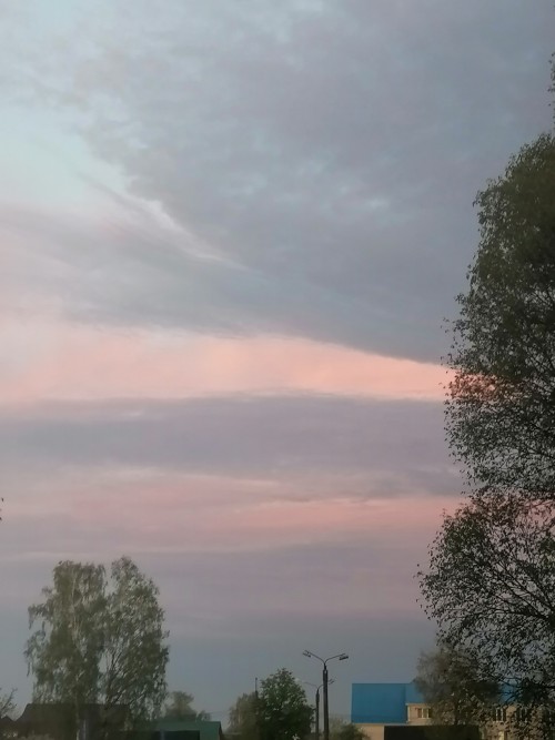 После дождя🌧️