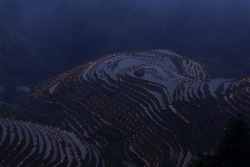 killing-the-prophet: Thousands of torches are placed in terraced fields by villagers during a local festival praying for good harvest at Guilin, Guangxi Zhuang Autonomous Region, China, on June 3, 2017.Stringer