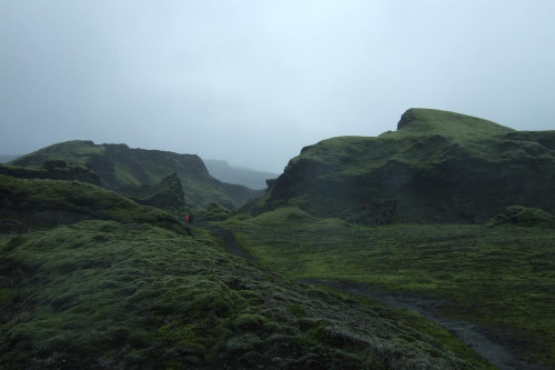 pleoros:  Iceland 