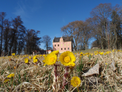 midnightineurope:Skanelaholm Castle