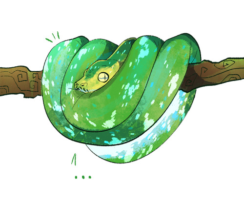 fionahsieh:  *inhales* a fierce snek© Fiona Hsieh 