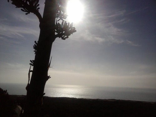 Precioso Amanecer En Das De Mucha Tristeza .