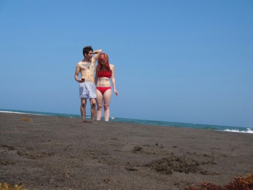 likewildlife: Maybe I have to start posting more photosets.