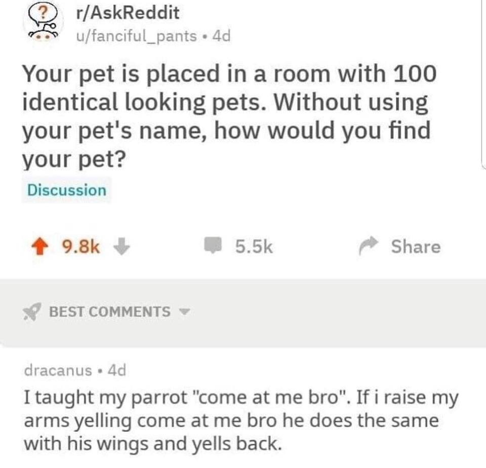 dankmemeuniversity: