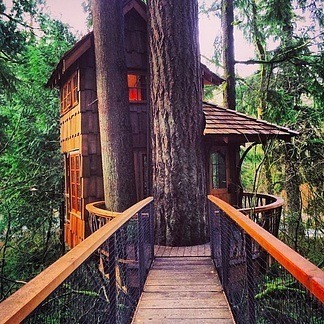 snarksandkisses:  bruja-ja:  My long term goals include living in a treehouse connected to other treehouses by zip line and suspension bridge.  Don’t everyone’s? 