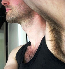 Hairy male armpits