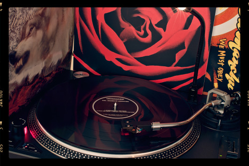 kaatjerenaatje:  It must be the cold, but I long for summer and sun. What better way to get a bit of both than by listening to Brant Bjork or one of his projects, like Ché. Together with Dave Dinsmore from Unida and Alfredo Hernández from Kyuss and