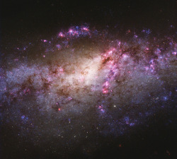 te5seract:    NGC 4490 &amp;  Globular Clusters in NGC 4490  edited by  Judy Schmidt