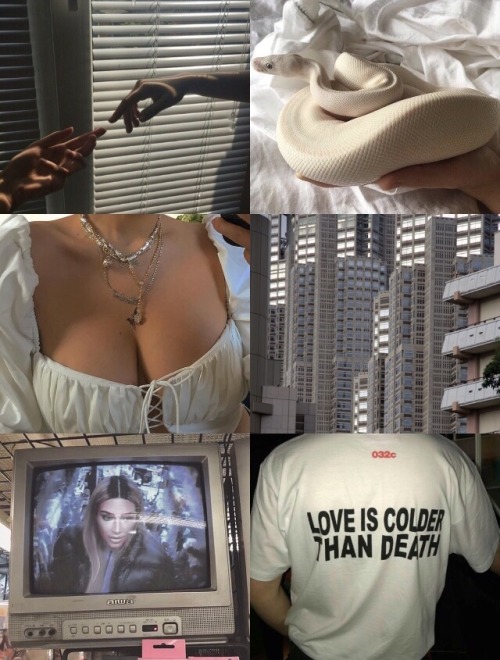 AESTHETICS FOR THE SIGNSLibra Scorpio SagittariusCapricornAquarius Pisces