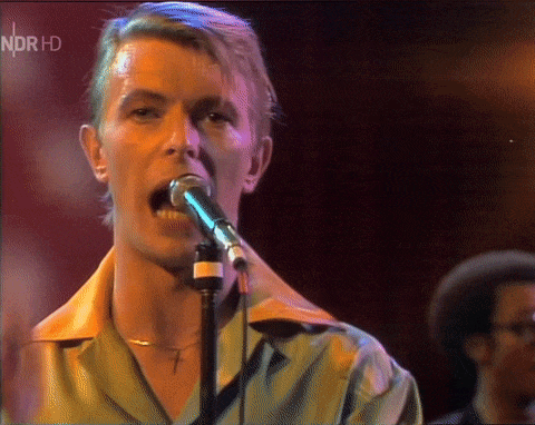 David Bowie Musikladen Gifs (1978)