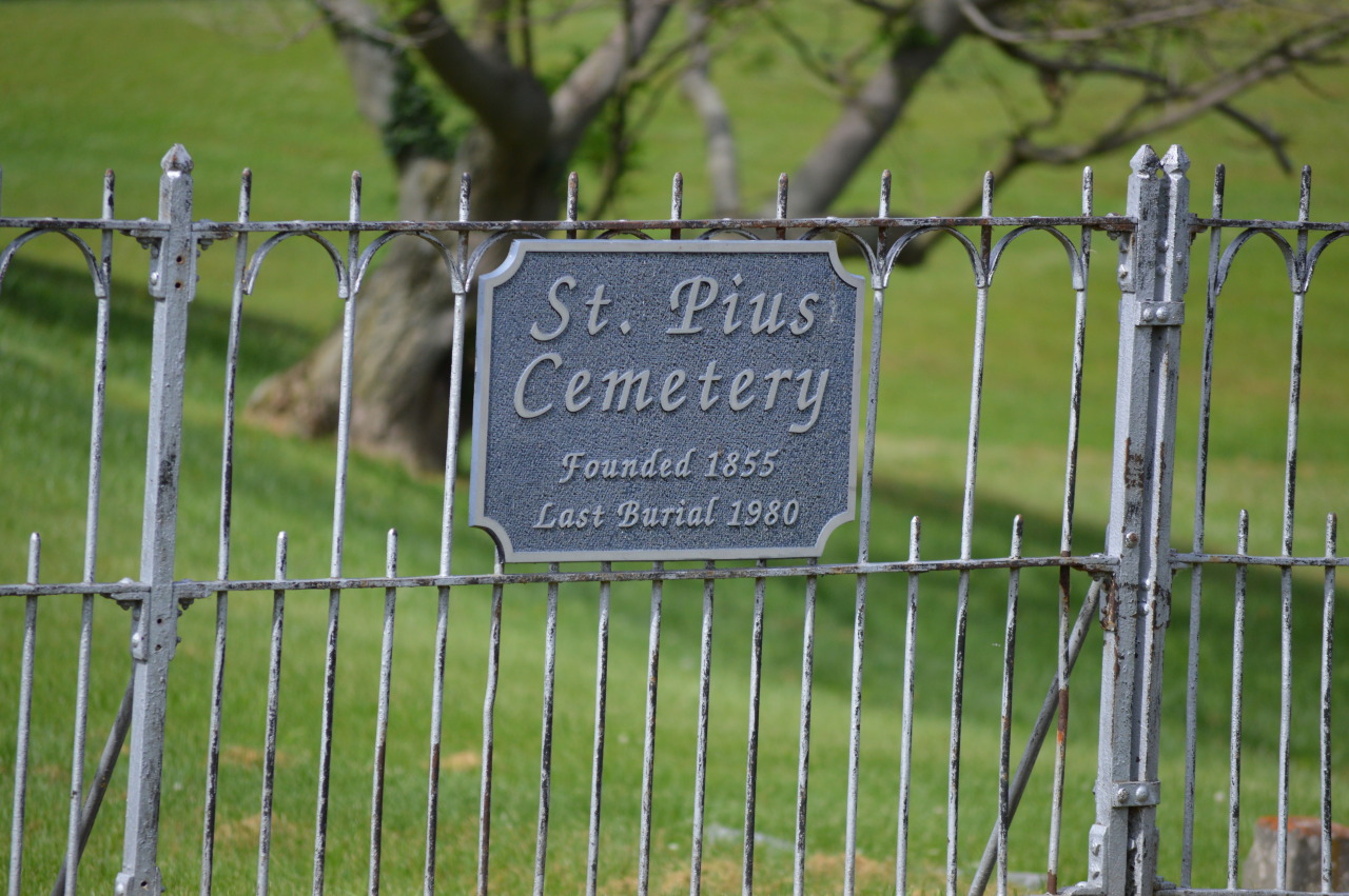 daydreaminggenius:  My dad’s house is situated by St. Pius Cemetery, an old Catholic