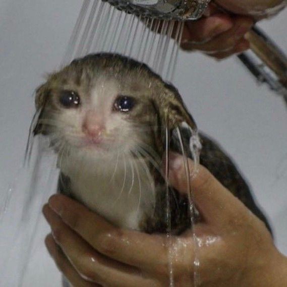Sad Shizun Explore Tumblr Posts And Blogs Tumgir Sad Shizun Explore Tumblr Posts And Blogs Tumgir