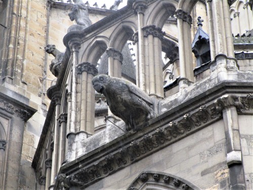 A few gargoyles on the Basilica of Saint-Remi in Reims.  These guys were doing their job, spitting o