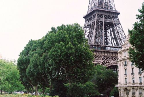 selfworthiseverything:  (by running-blind) 