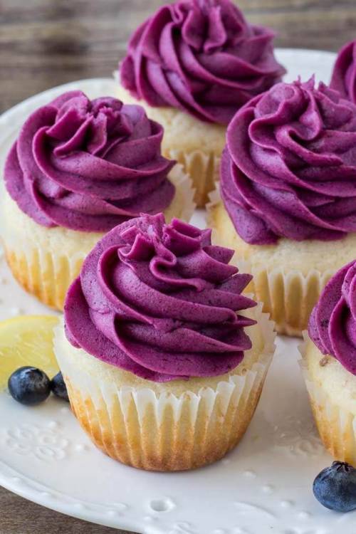 ugly–cupcakes:  Lemon Blueberry Cupcakes