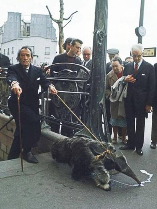 gnarville: Salvador Dalí walking his anteater in Paris, 1969.