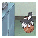 (ﾉ◕ ヮ ◕)ﾉ*･✧Kawaiii*･✧