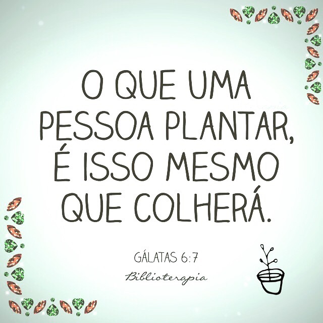 biblioterapia:  Não se enganem: ninguém zomba de Deus. O que uma pessoa plantar,