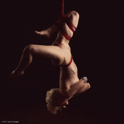 jesseflanagan: Vi from two sides in MyNawashi rope Rigging/photos by Jesse Flanagan (self)   Instagram | Facebook | Full sets available on Findrow    