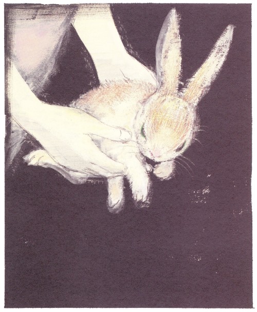 haruchonns:The Velveteen Rabbit：Margery Williams Bianco(1844 – 1944)　illustration：Komako Sakai(1966-