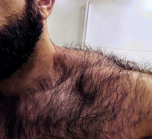 Sweaty Hairy and Lickable