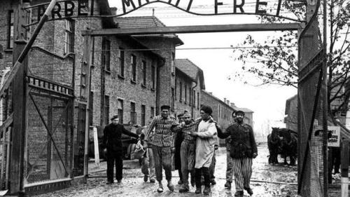 girlactionfigure:  A Holocaust denier is running for Congress. One of his constituents would be Auschwitz prisoner No. 27,276. In an unassuming bungalow in Chicago’s Garfield Ridge neighborhood, a woman approaches her 90th birthday. She lives simply