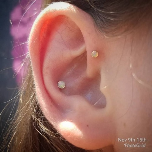 #forwardhelix and #conch with genuine White Opals in Rose Gold settings #forwardhelixpiercing #conc