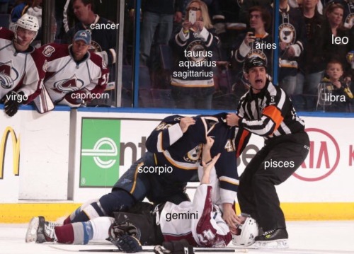 nannaofnordion:bruins-babe:the signs as: people in this wild hockey picturefinally a good horoscope