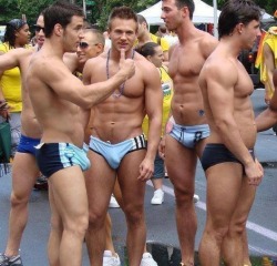 Looks like bulge heaven - WOOF