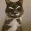 ralfanimalspinner