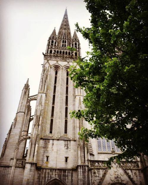 Quimper Cathedral. (2016) #france #quimper #cathedral #building #beautiful #architecture #nature #tr