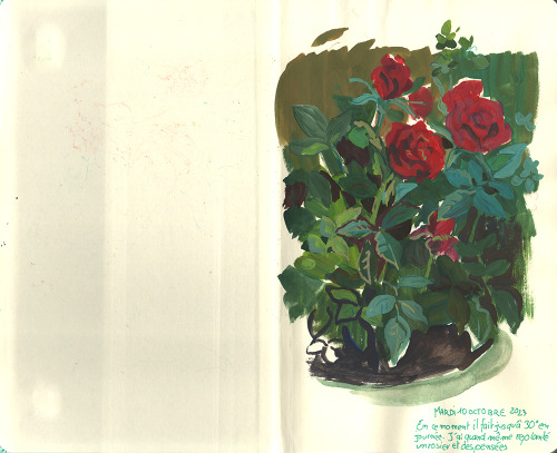 Some Pages From My Gardening Sketchbook.