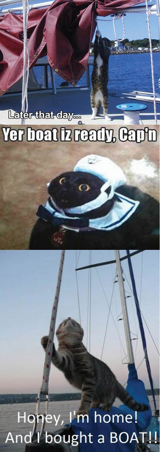 First memes
