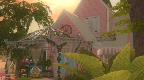 Blush In Blooming Plant Shop.