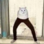 longleggedfeline