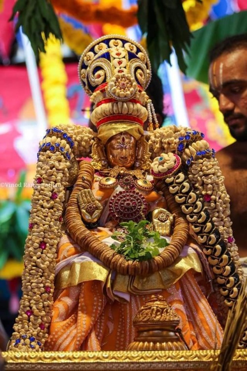 Padmavathi (Lakshmi) of Tiruchanur, Tirupati,using various ornaments and crowns made of dried fruits