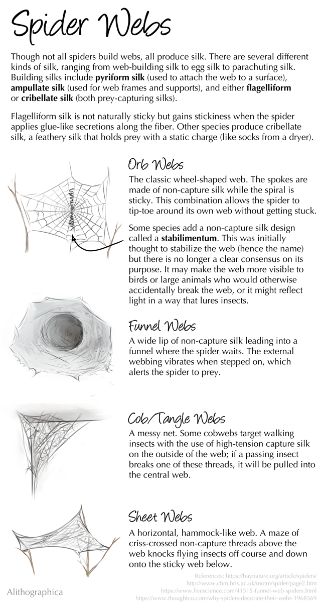 5 Fascinating Uses of Spider Silk