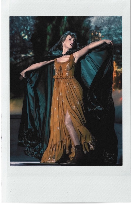 Eras Tour Polaroid Set: Evermore