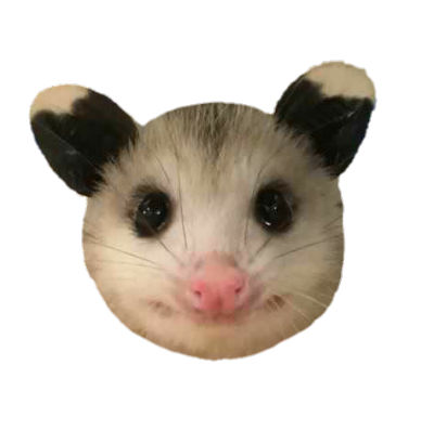 opposum discord