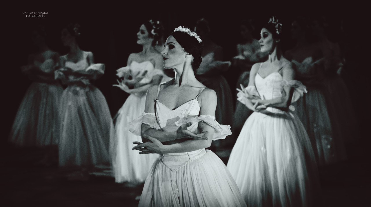 carlosquezadaph:  Compañía Nacional de Danza . México  Giselle . Willis Corps